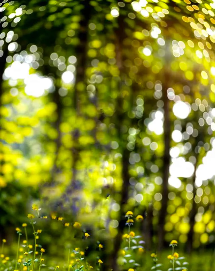 The Perfect Prompt: Achieving DSLR Bokeh with ChatGPT 3 1000083819