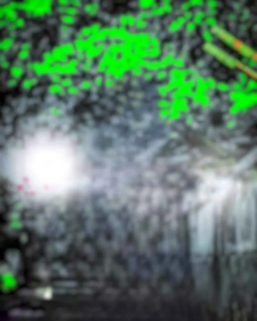 1000090676
