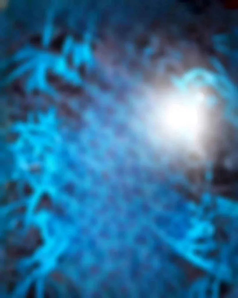 1000090677